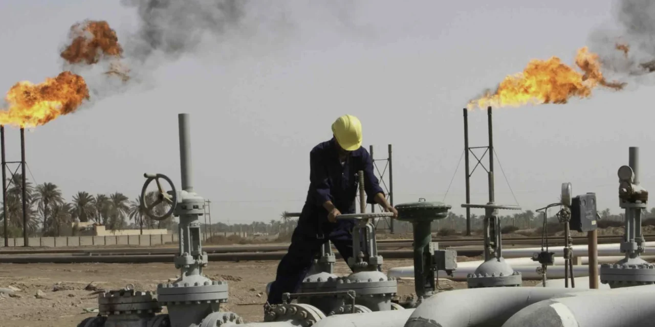 Il cane a sei zampe nel deserto