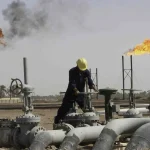 Il cane a sei zampe nel deserto