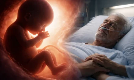 La Vita e il confine che non ci appartiene