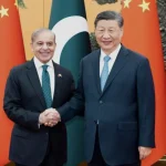 La Grande Muraglia del Nuovo Ordine