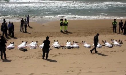 Portare il grido di sofferenza di chi riesce ad arrivare sulle nostre coste e trova solo rifiuto e leggi razziste e xenofobe