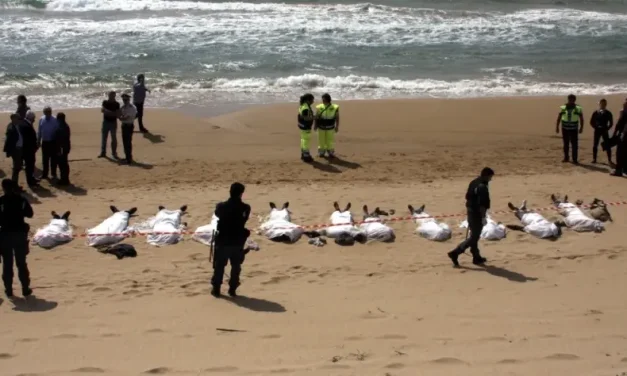 Portare il grido di sofferenza di chi riesce ad arrivare sulle nostre coste e trova solo rifiuto e leggi razziste e xenofobe