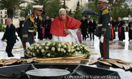 IL PELLEGRINO DI IPPONA