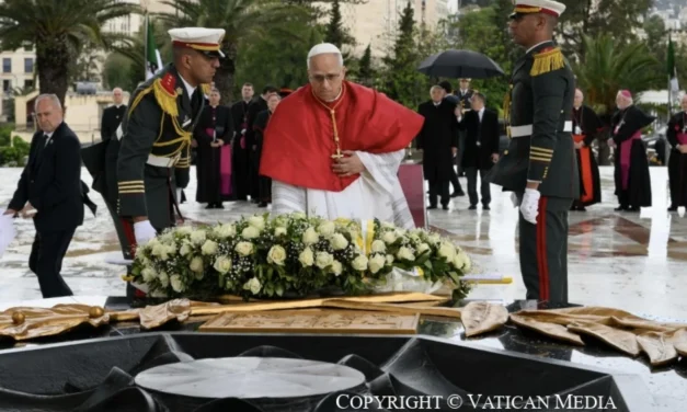 IL PELLEGRINO DI IPPONA