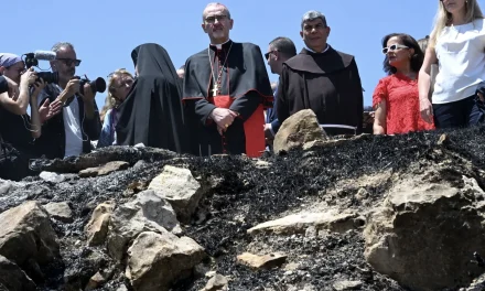 In Cisgiordania, mentre il mondo guarda altrove, i coloni completano in silenzio ciò che le bombe non hanno ancora finito