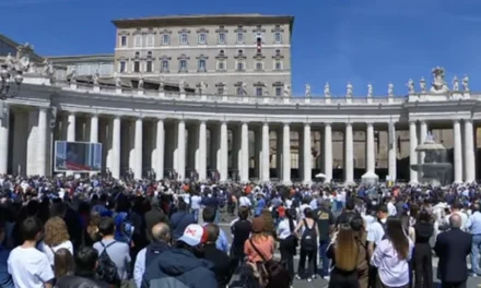 Il Papa e le fake news: «La verità non resta celata»