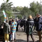 Contro il fascismo