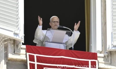Leone XIV all’Angelus: una fede per sentito dire non cambia la vita né il mondo