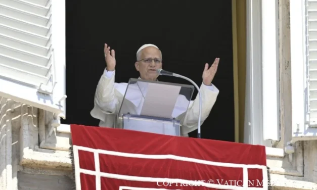 Leone XIV all’Angelus: una fede per sentito dire non cambia la vita né il mondo